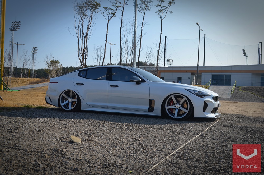 스팅어 (Stinger)