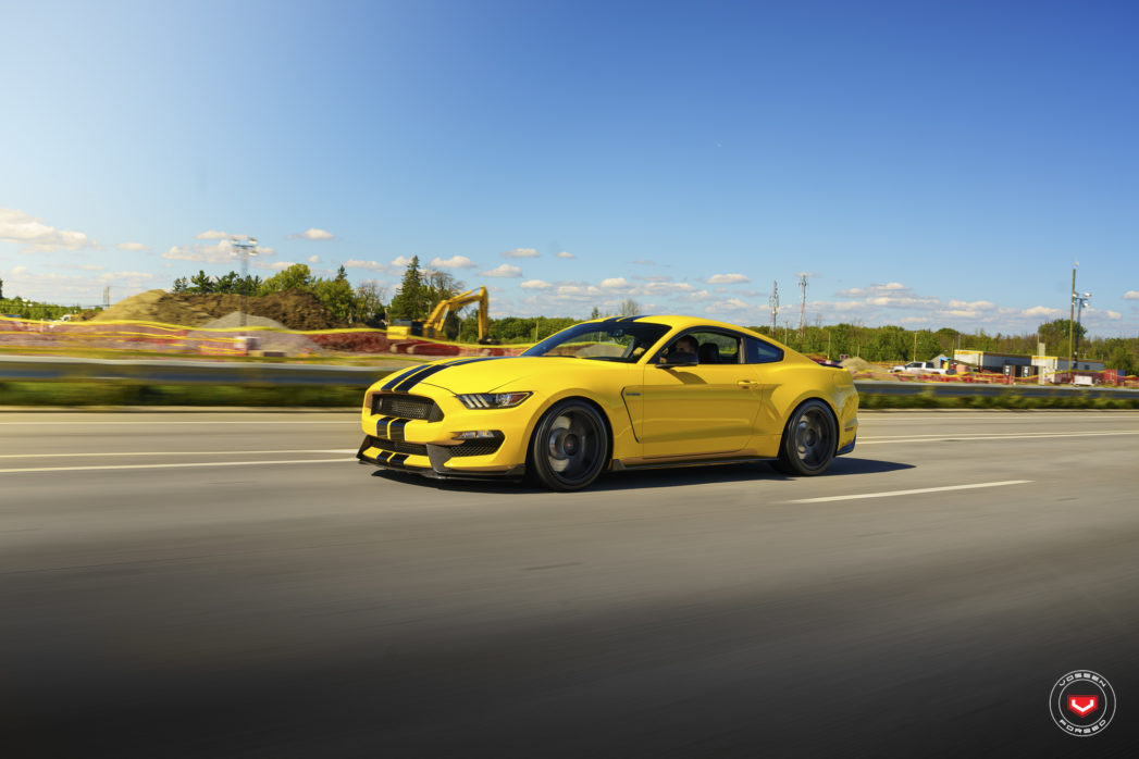 쉘비 GT350