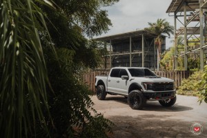 포드 F150