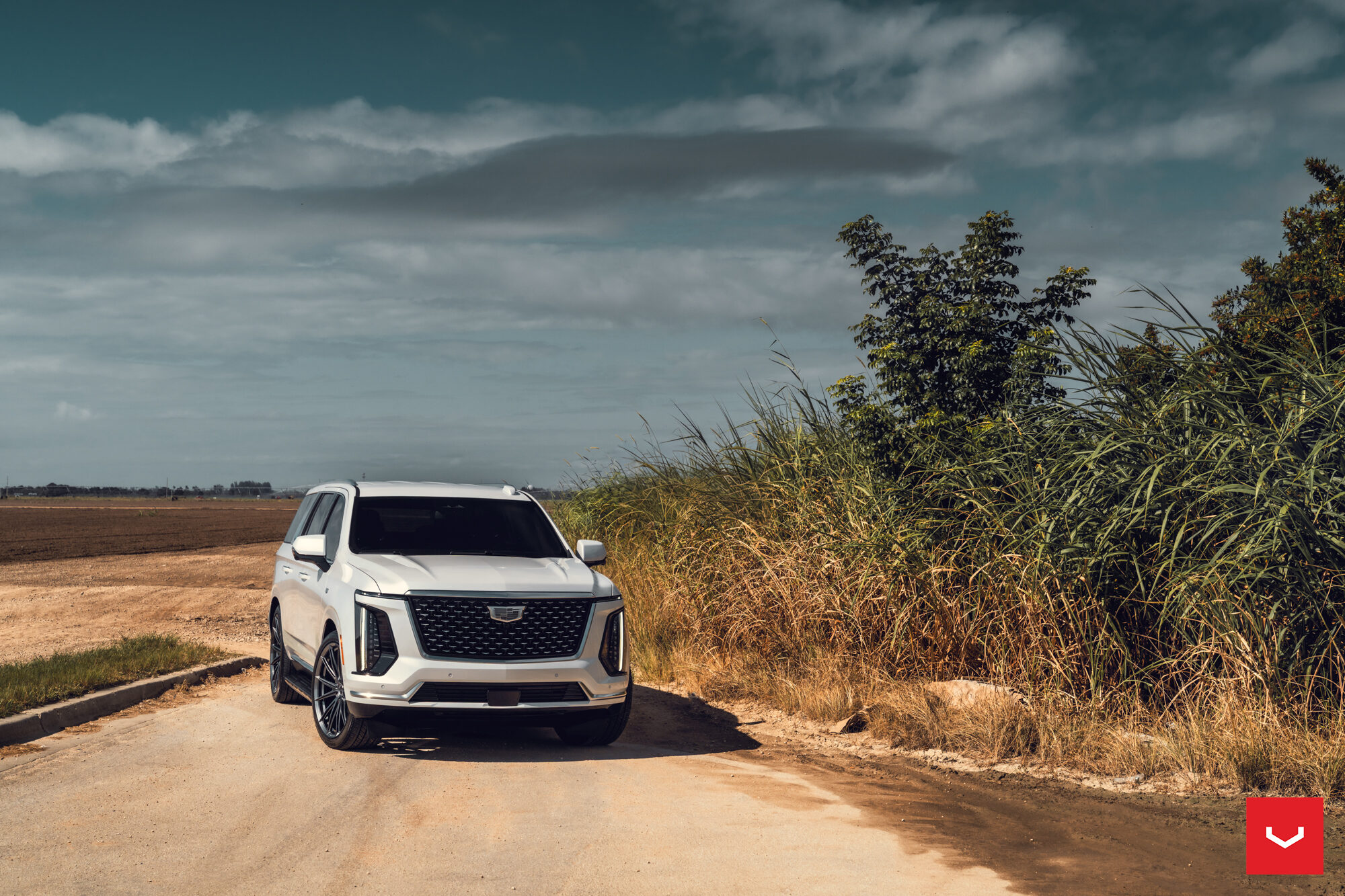 캐딜락 에스컬레이드