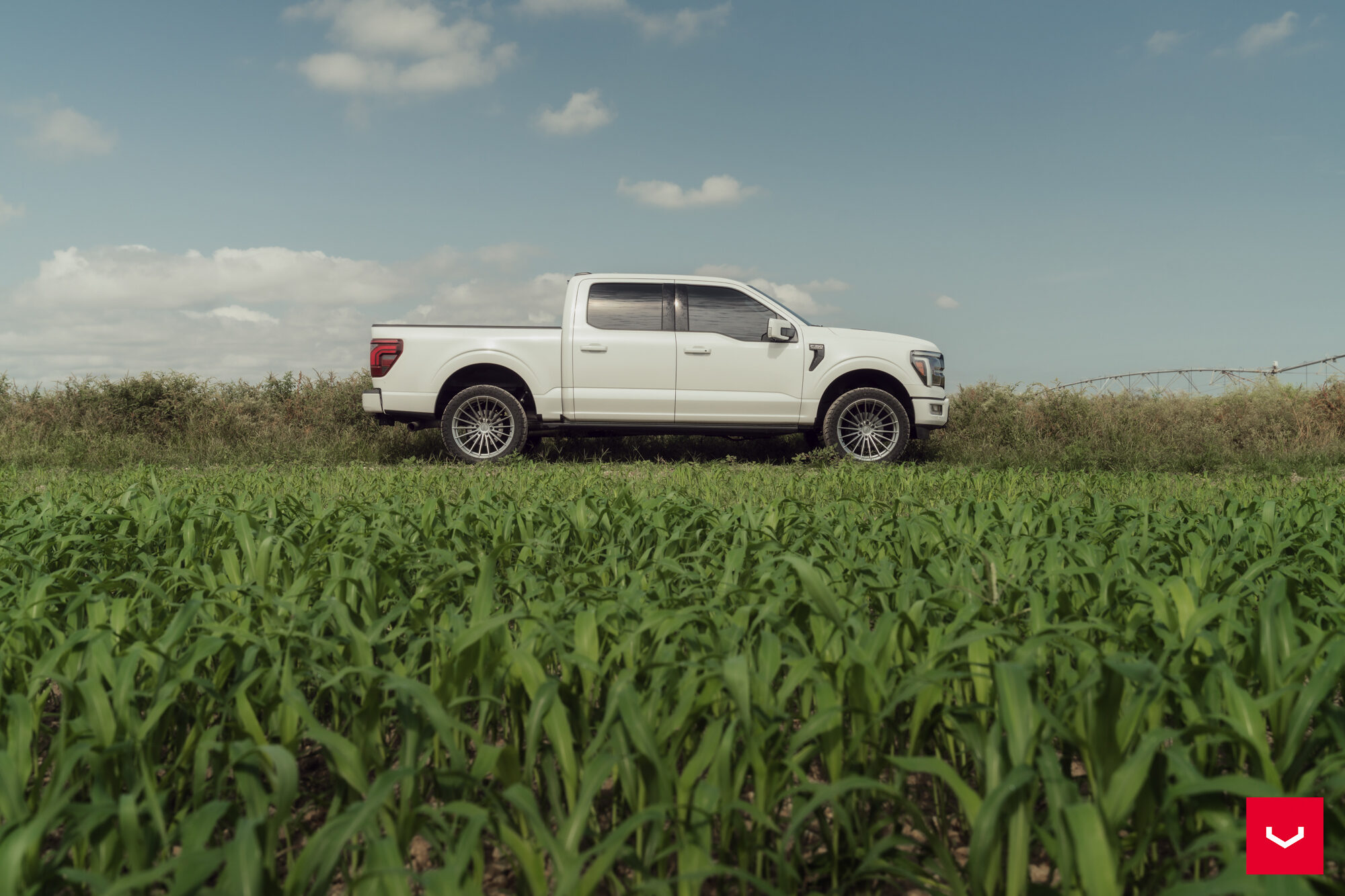 포드 F150