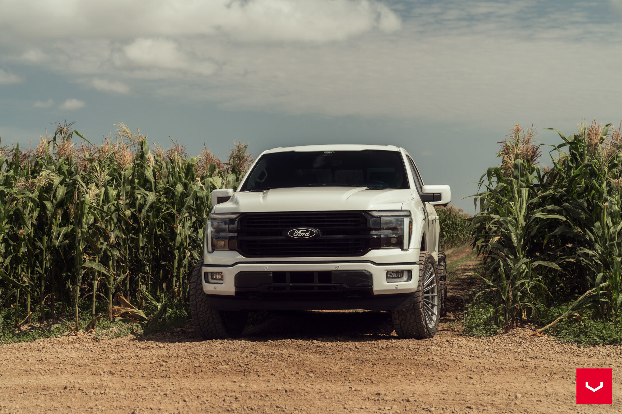 포드 F150