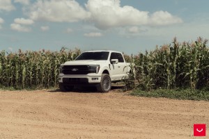 포드 F150
